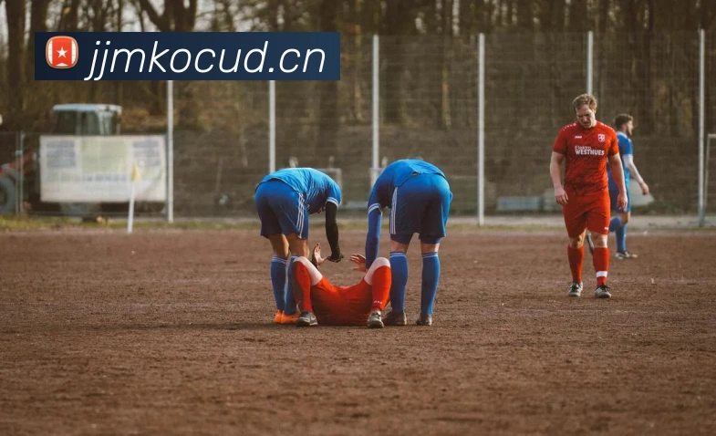 星空体育平台入口服务体系